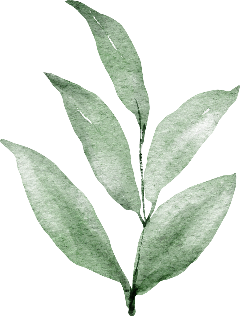 Green Leaves Watercolor